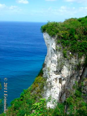 602894b0c521eb7aeb2598e4f58a9795