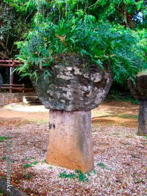 8a7350caa8b9aaff252363e2ebb103ca