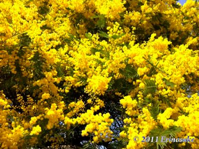 eb10ddb030214ce75a87918d8a05c880